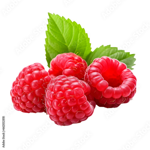 raspberries isolated