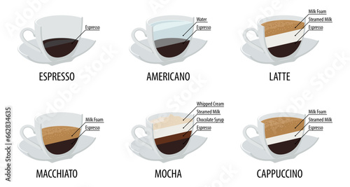 Coffee cup vector. Cafe menu with infographic. Flat design.