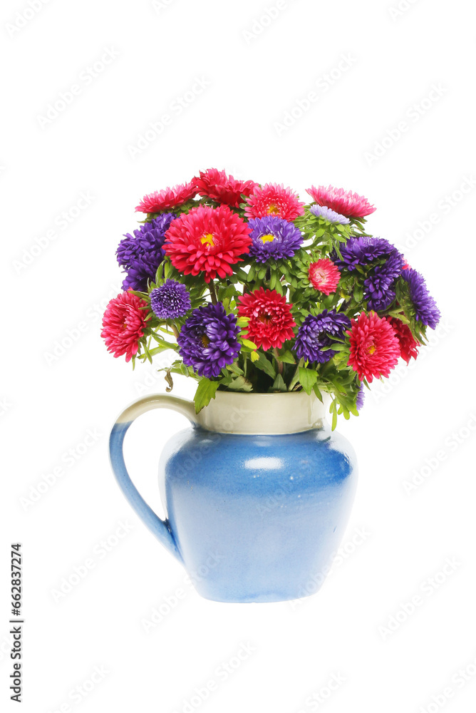 Arrangement of aster flowers