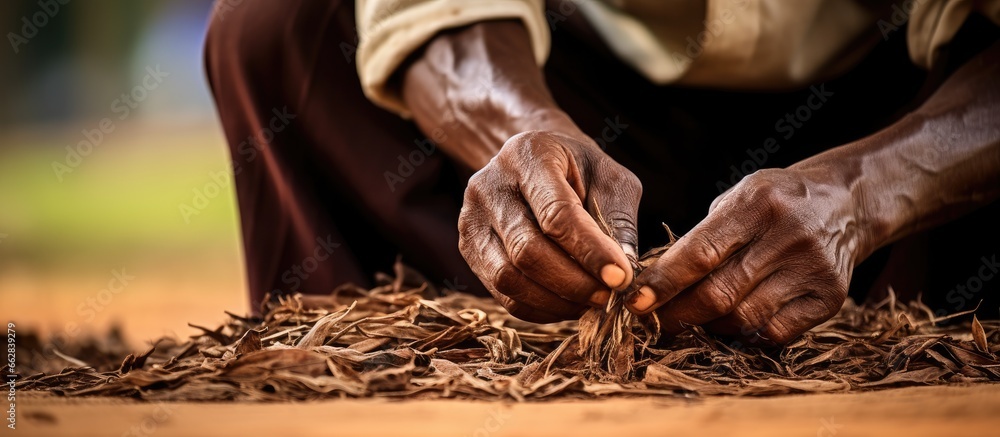 African man drying a clove on a thatched mat in Zanzibar Tanzania With copyspace for text - obrazy, fototapety, plakaty 