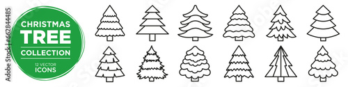 Christmas trees collection. Pine trees set for holiday xmas, christmas and new year. Christmas card element.