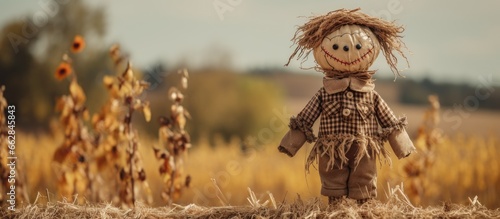 Huge Halloween scarecrow handcrafted With copyspace for text photo