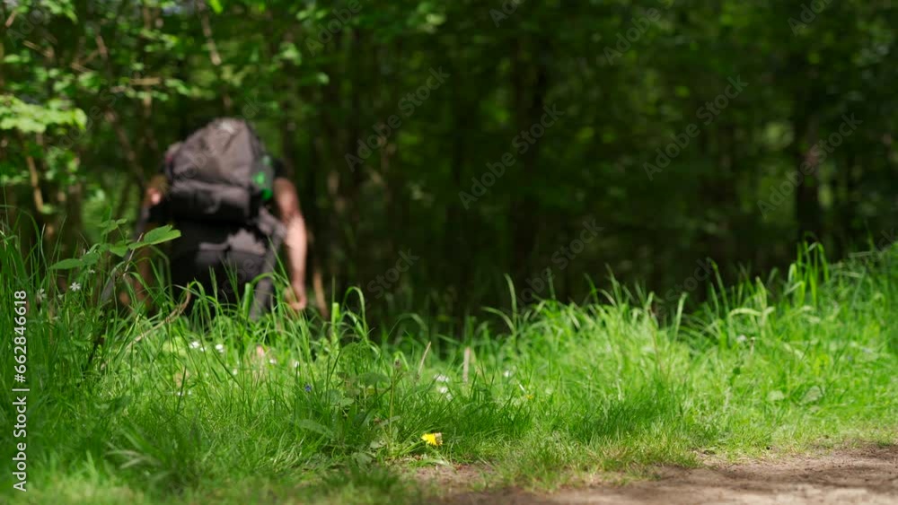 A man wearing shorts walking into a summer woodland scene A man wearing shorts walking into a summer woodland scene