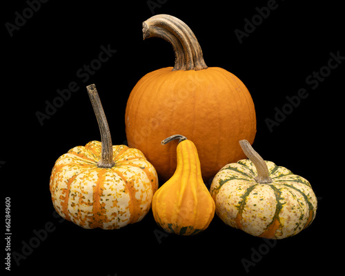 medium pumpkin two small colorful pumpkins and a gourd on a black background