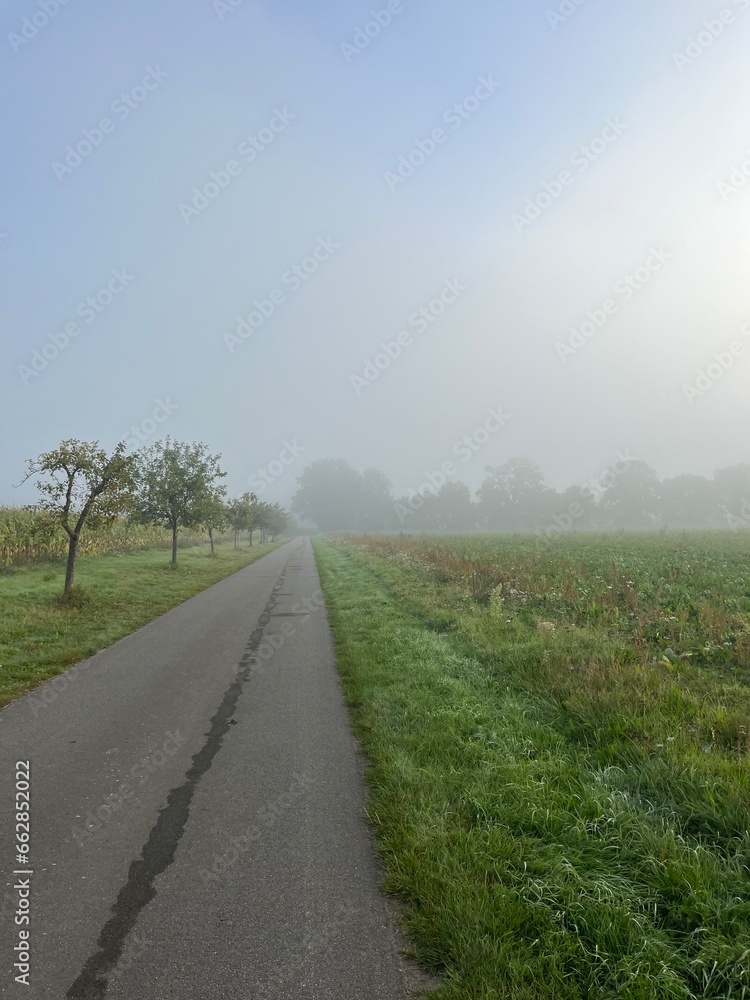 Foggy countryside view, rural landscape, mist on the field