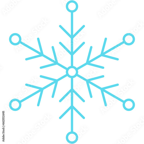 Winter Snowflake Icon 