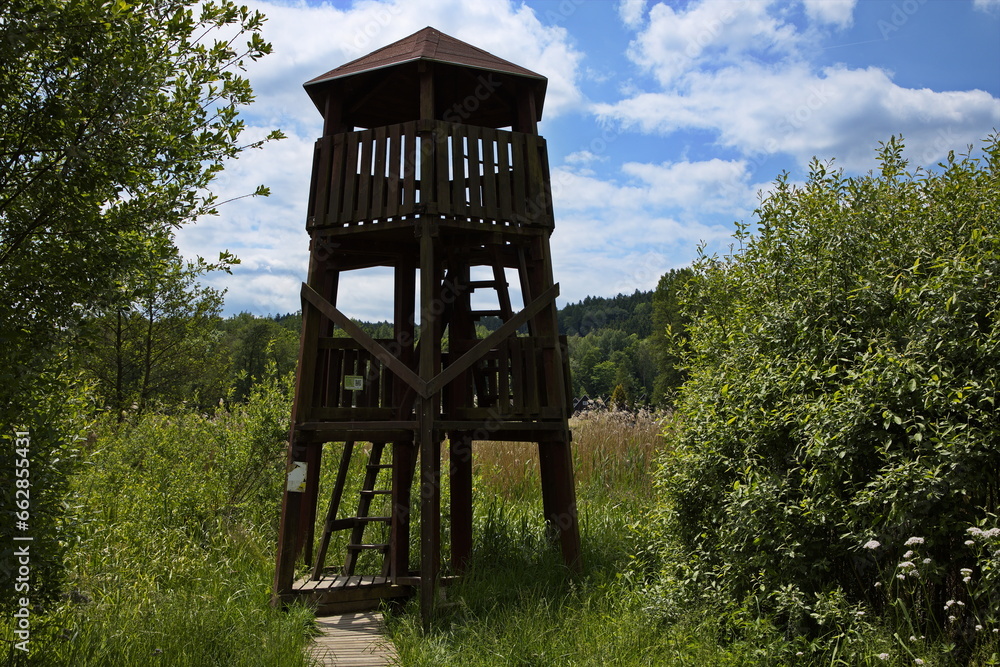 Observation tower at Lanskrounske rybniky, Ustí nad Orlicí District, Pardubice Region, Czech Republic, Europe
