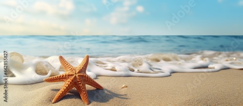 Beach starfish With copyspace for text © 2rogan