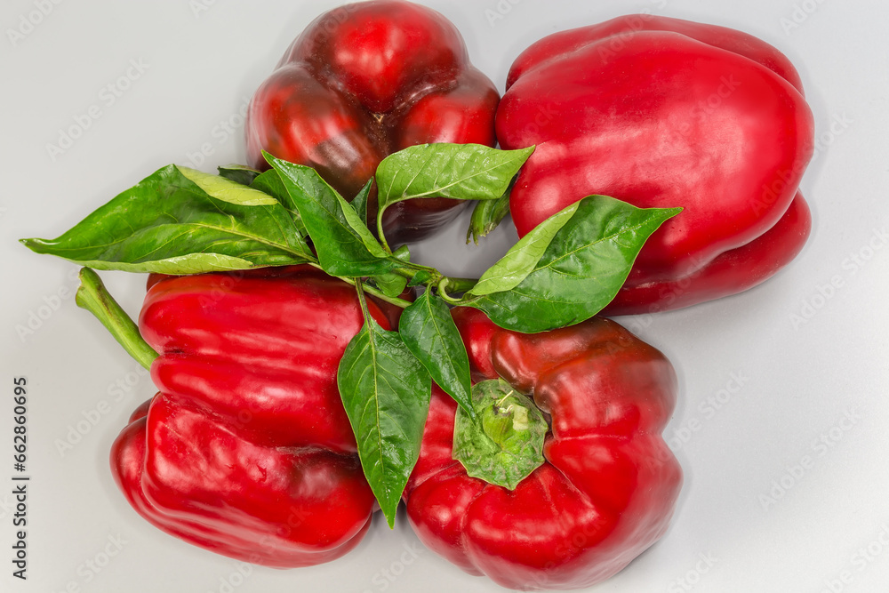 Red bell peppers, pepper twig, top view on grey background Red bell peppers, pepper twig, top view on grey background
