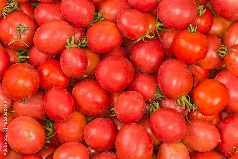 Freshly harvested red round tomatoes in container, top view Freshly harvested red round tomatoes in container, top view