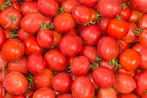 Freshly harvested red round tomatoes in container  top view