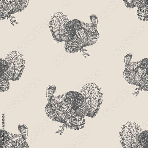 Seamless background of big domestic turkey bird sketches
