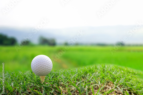 The golf ball is placed on the grass next to the tee.
