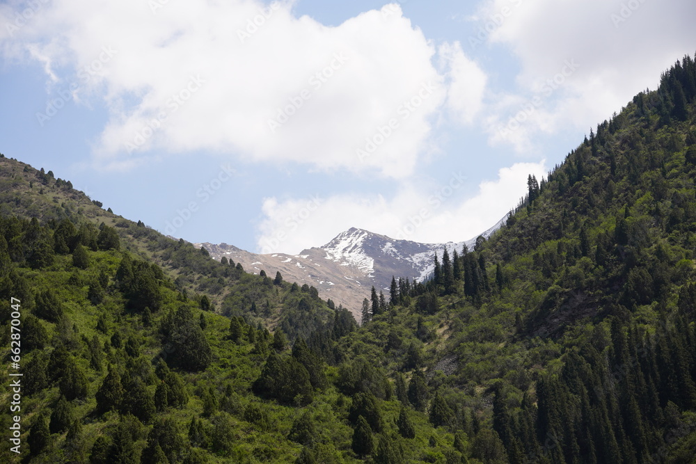 mountains, sky, hills, trees, forest, stones, clouds mountains, sky, hills, trees, forest, stones, clouds