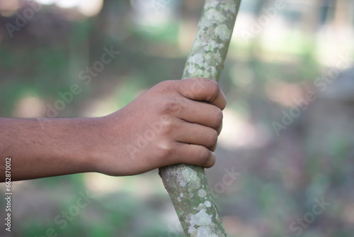 a man holds tree branch with hand and blurred background