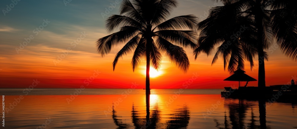 Coconut tree s silhouette and pool shadow at sunset in Samui Thailand With copyspace for text