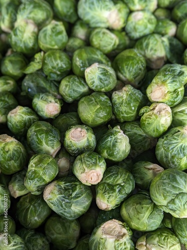 fresh brussel sprouts at the market