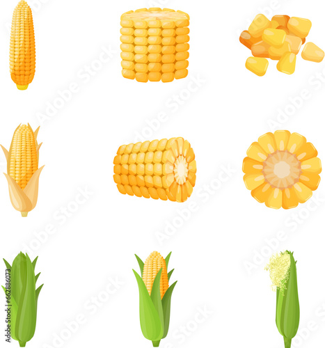 Corn icons set cartoon vector. Cereal plant. Grain food field
