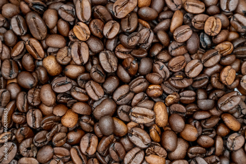 coffee beans background