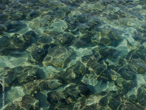 Stromatolites at Hamelin Pool, Western Australia