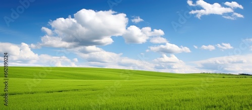 Meadow under sky with clouds With copyspace for text