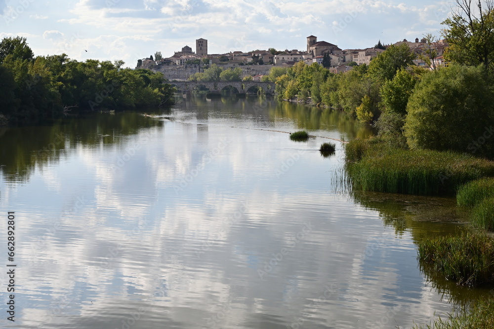 Zamora Zamora