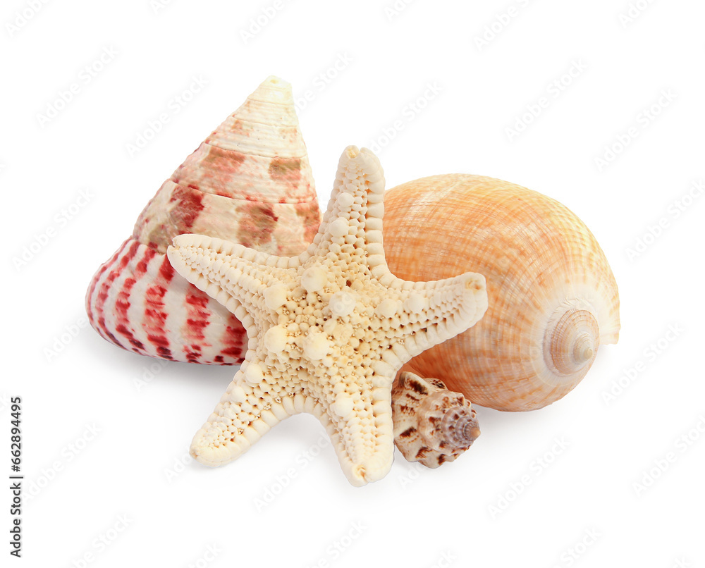 Beautiful sea stars (starfishes) and seashells isolated on white Beautiful sea stars (starfishes) and seashells isolated on white