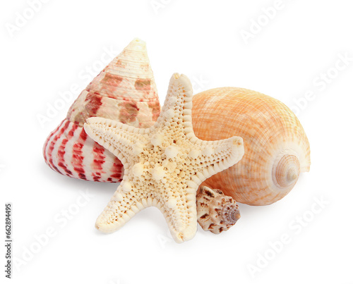 Beautiful sea stars (starfishes) and seashells isolated on white