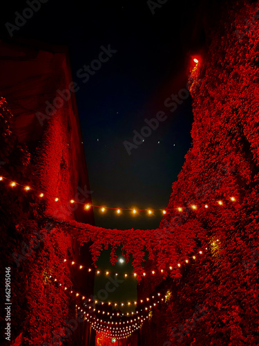 luminarie rosse in un cielo stellato photo
