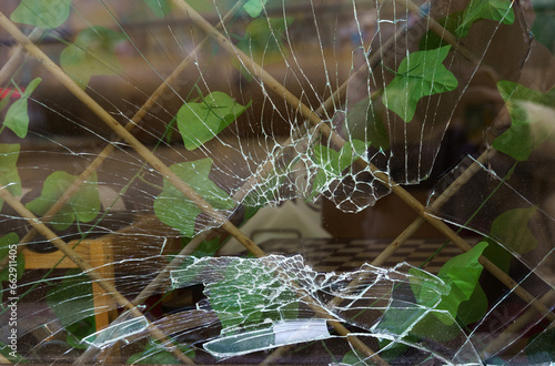 A broken shop window behind which a green plant can be seen in the room and a chess table in the background