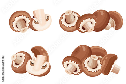 Champignon mushrooms ,Cartoon vector icon isolated on white background.