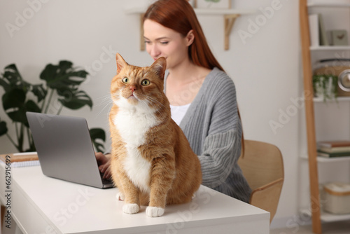 Woman working with laptop at desk. Cute cat sitting near owner at home, selective focus