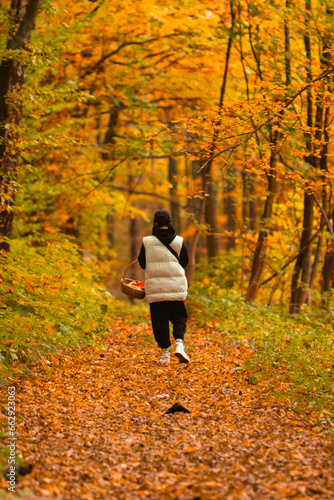 woman in autumn forest looking for mushrooms