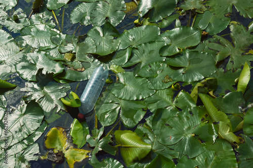plastic bottle on the water, polluted pond, environmental problems. garbage, background for decoration