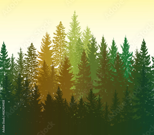 Forest panorama view. Pine tree landscape vector illustration. Spruce silhouette. Coniferous forest silhouette template.  Banner background