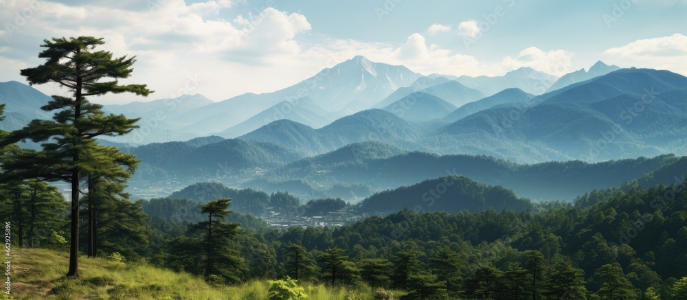 Japanese mountain landscape seen through the lens of forestry With copyspace for text