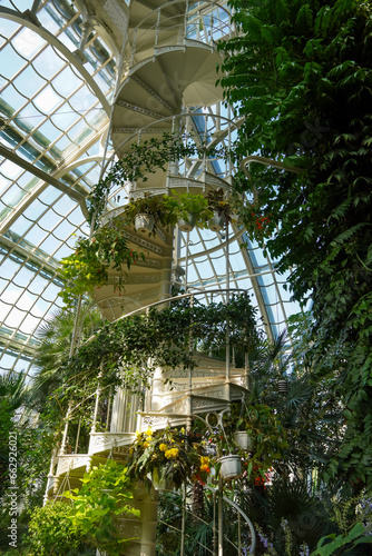 White iron spiral stair surrounded with tropical trees and plants. Windows on the back. Vienna Palm house. September 2023