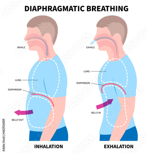 Diaphragmatic deep breathe exercise techniques for stress relief or relax and lung anatomy medical