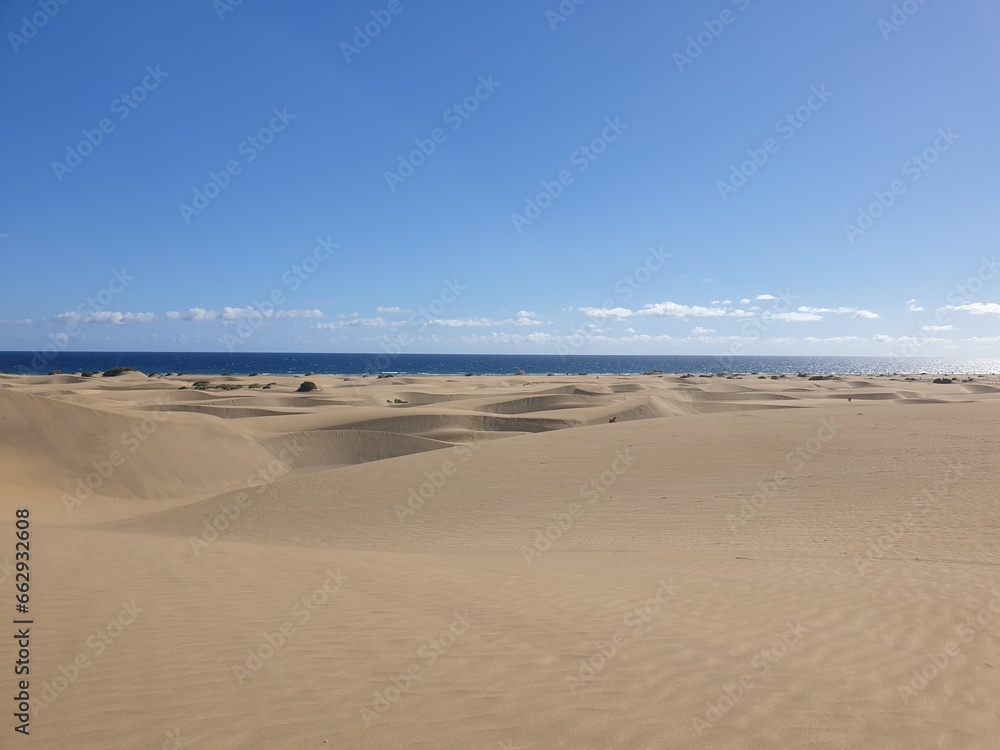 Desert Desert