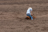 A cowboy at a rodeo has roped a calf and it tying up its legs and a Calf Roping contest. The arena is dirt. The calf is brown. The cowboy is wearing blue with a white hat. 