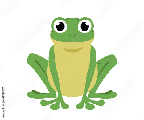 Funny Frog. Front view of cute aquatic animal. A sitting frog with bulging eyes. Flat Cartoon Vector Illustration isolated on white