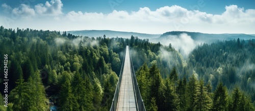 Longest footbridge in Czech forest Dolni Morava With copyspace for text