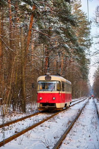 Winter Tranquility: The Scarlet Tram in a Snowy Forest
