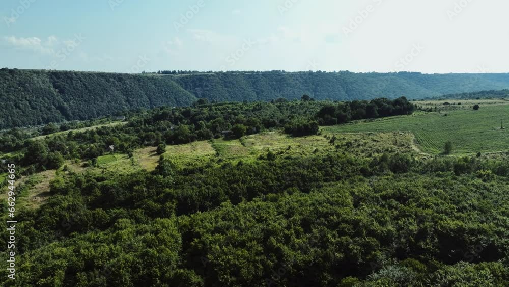 A view of a picturesque river canyon on a sunny summer day from a drone A view of a picturesque river canyon on a sunny summer day from a drone