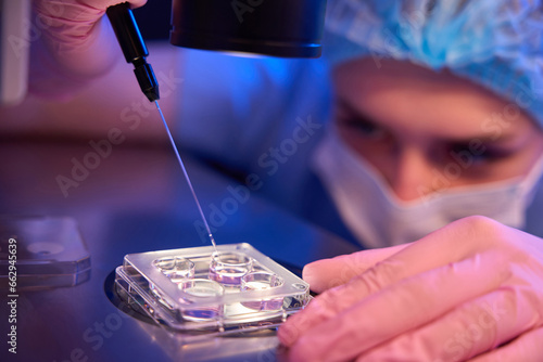 Photos Focused lab scientist collecting in vitro cultured embryos for biopsy