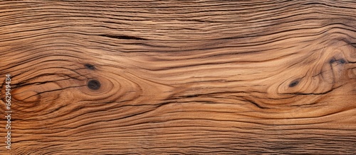 Hand painted imitation of walnut tree wood texture With copyspace for text