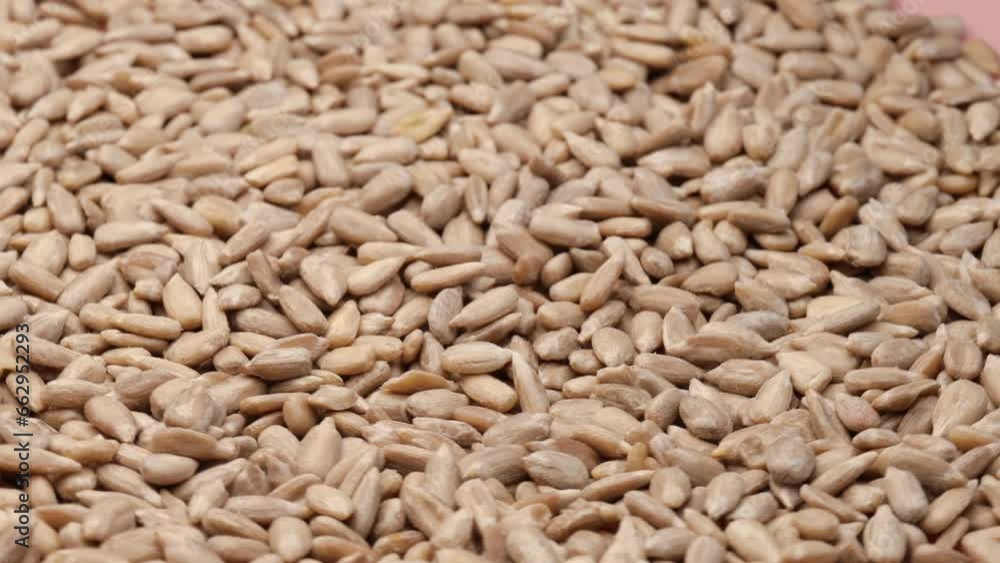 Peeled sunflower seeds, rotation in circle. A raw sunflower seeds, Turning. selective focus. Peeled sunflower seeds, rotation in circle. A raw sunflower seeds, Turning. selective focus.