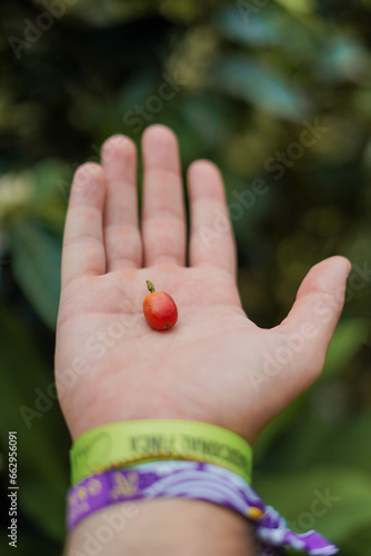 Eje Cafetero, Pereira, Colômbia