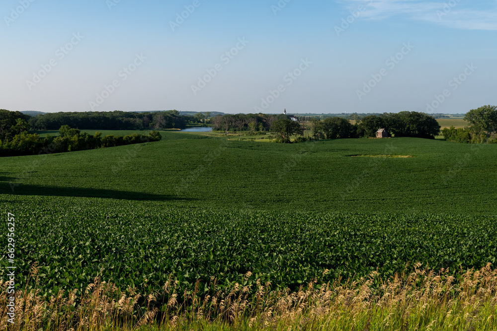 The countryside with different crops in the fields, a lake and a white church in rural west central Minnesota, United States.
