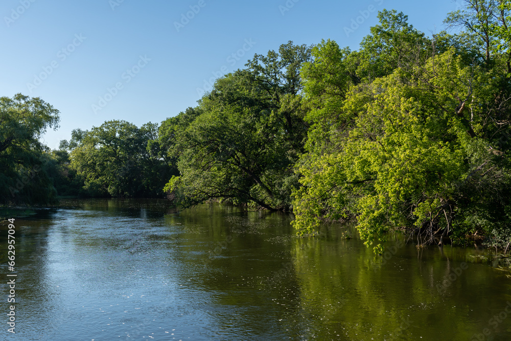  A body of water with trees and blue skies in the summer in rural Minnesota, USA.
